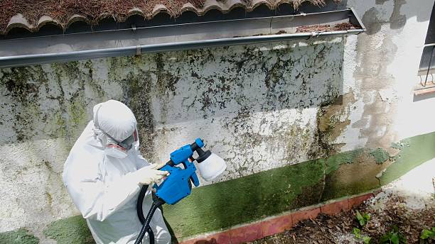 Top rated local Mold Remediation specialists in Mercersburg, PA